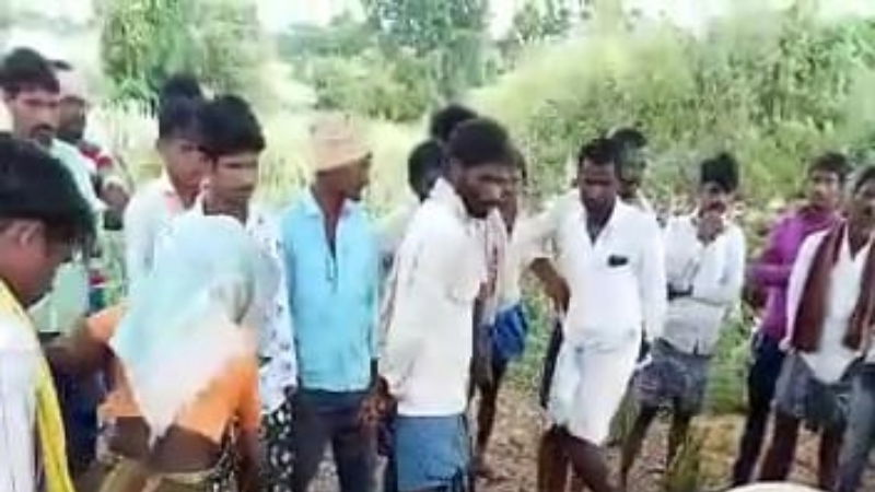 ox Raichur