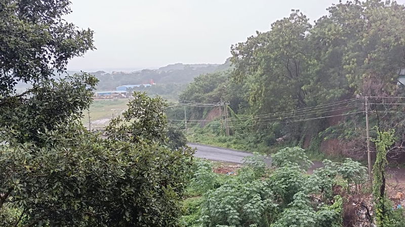 rain 