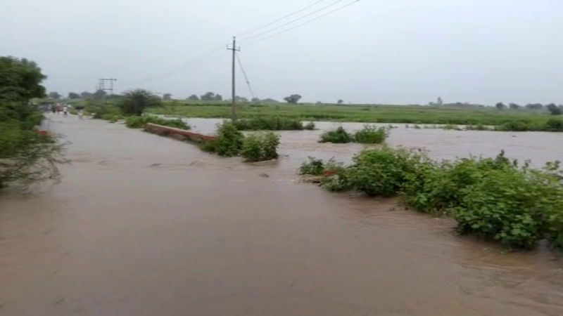 rain 4