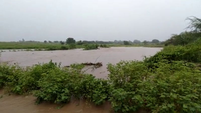 rain 5