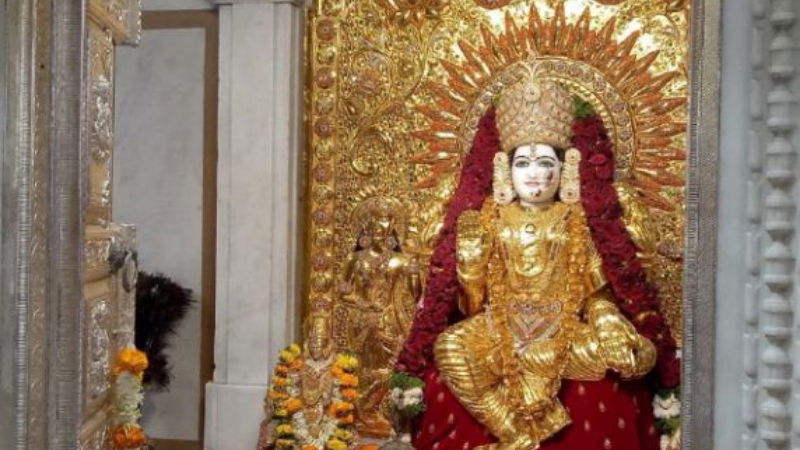 Gold Saree