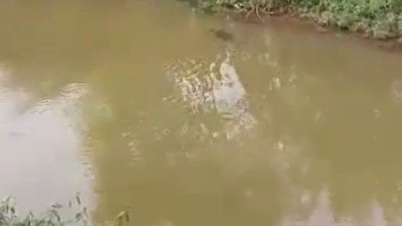 Madikeri