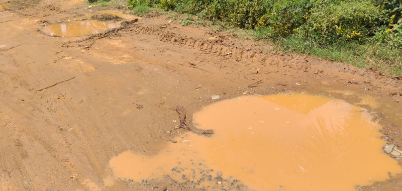 NML ROAD 1