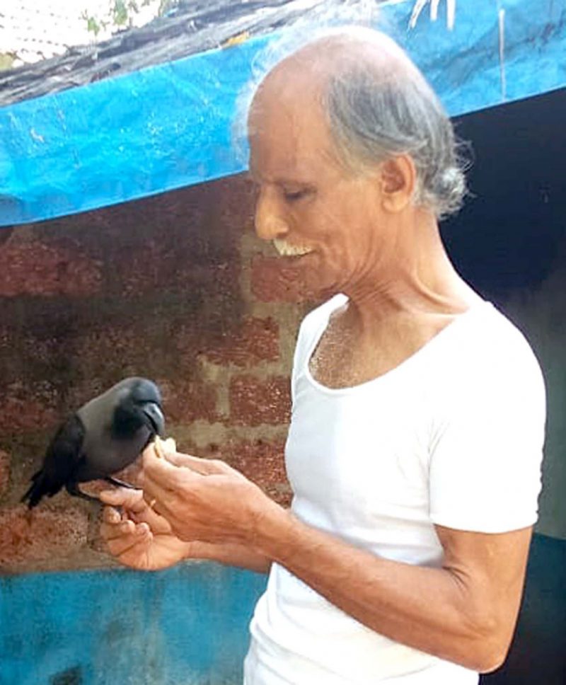 Crow Friendship Karwar publictv