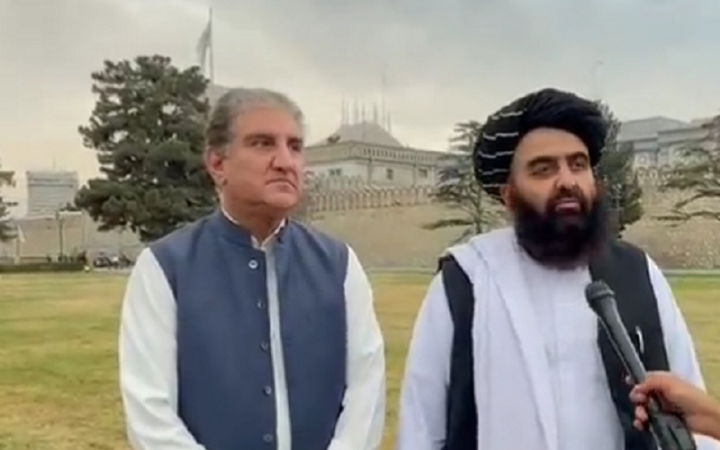 Wheat taliban 2