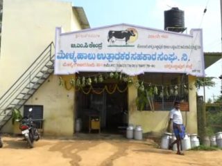 chikkabalapura milk 3