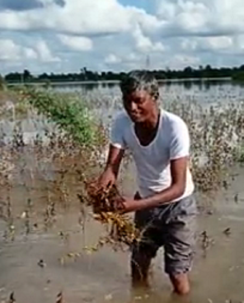 farmar video viral bidar