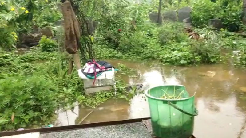 hassana rain 3