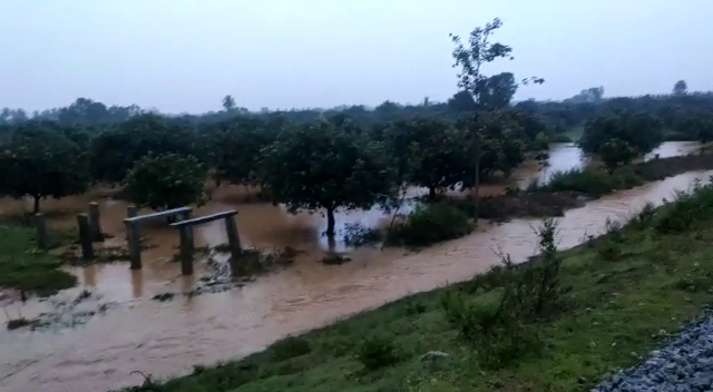 kolara rain 4