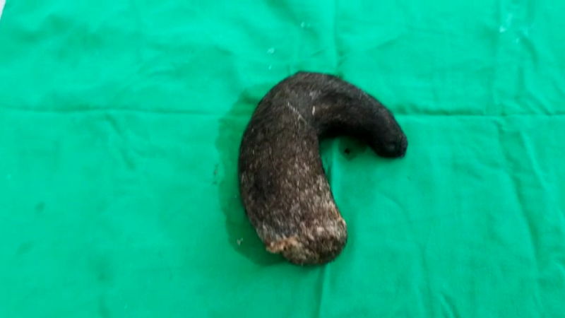 madikeri kudala gende 3