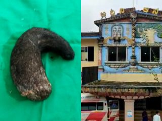 madikeri kudala gende 6