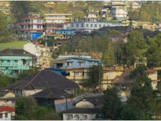 madikeri rat 1