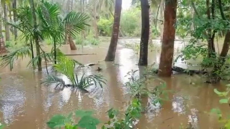 mandya Rain