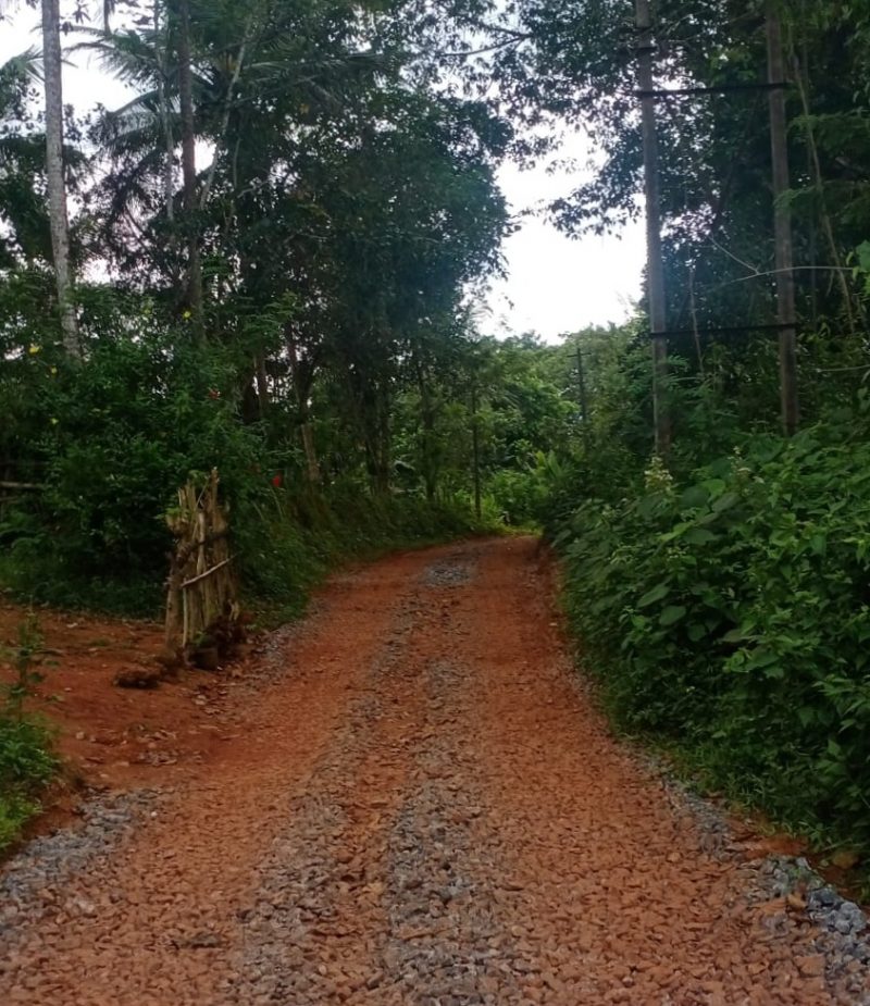 mangaluru dakshina kanna sand mining 1