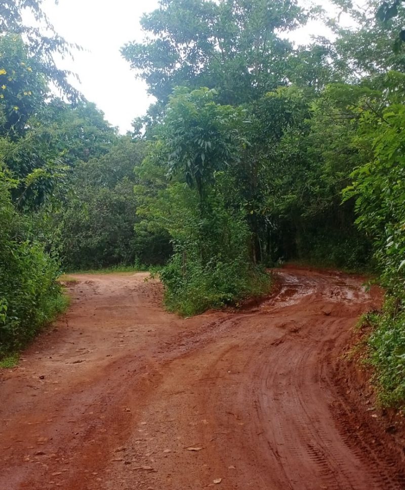 mangaluru dakshina kanna sand mining 2