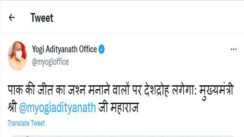 yogi