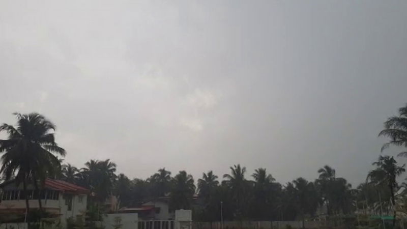 MNG RAIN 1