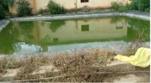 farm ponds