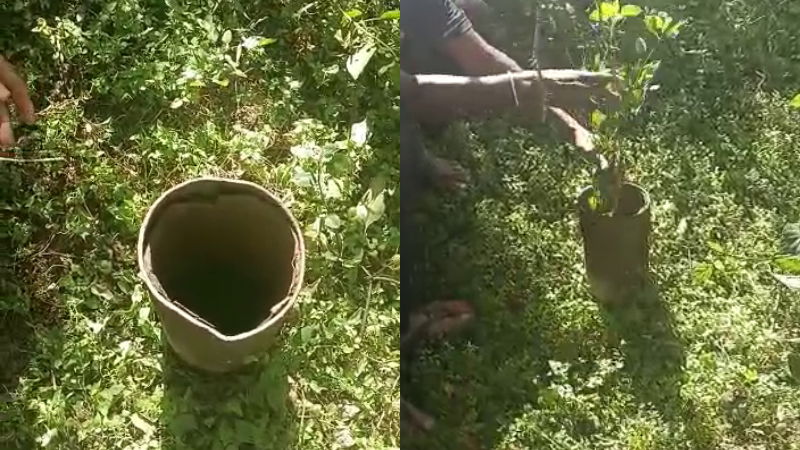 kolavi bhavi chikkabalapura 1