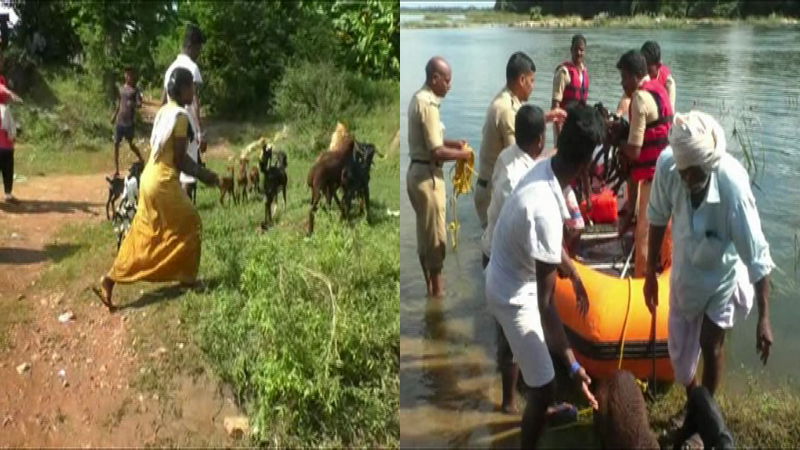 koppala januvarugalu 1