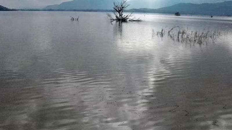 rayalacheruvu 1