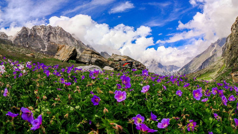 uttarakhand 2