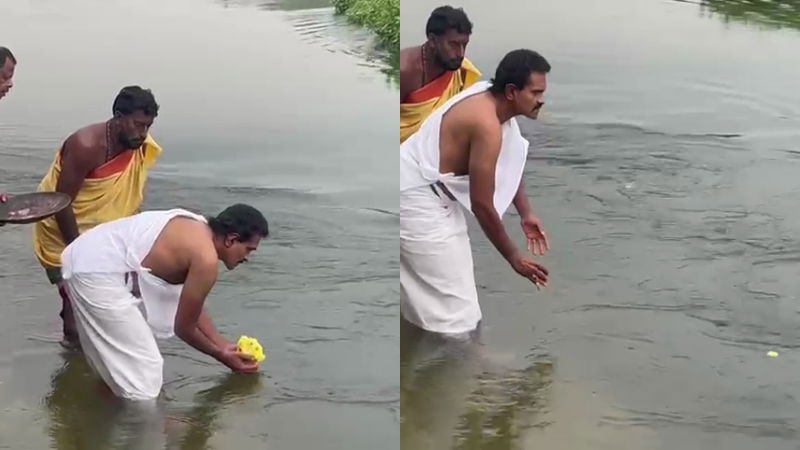 vinid raj