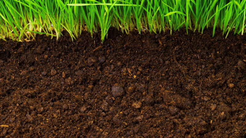SOIL