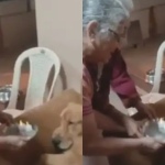 SUDHAMURTHY