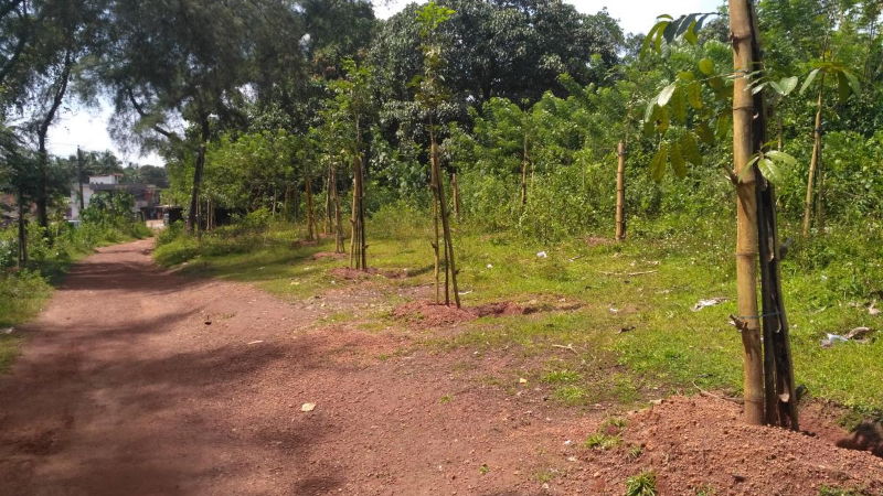 Sullia Forest Zone
