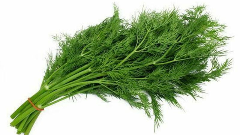 dill leaves
