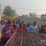 maharashtra monkeys attack dog 1