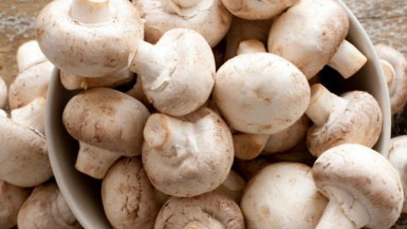 mushroom 2 1