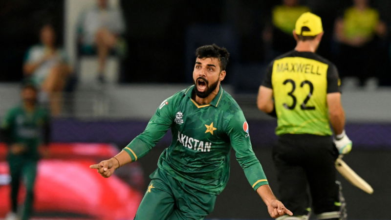 shadab new