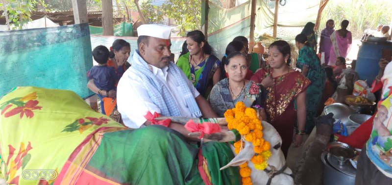 CKD COW 2