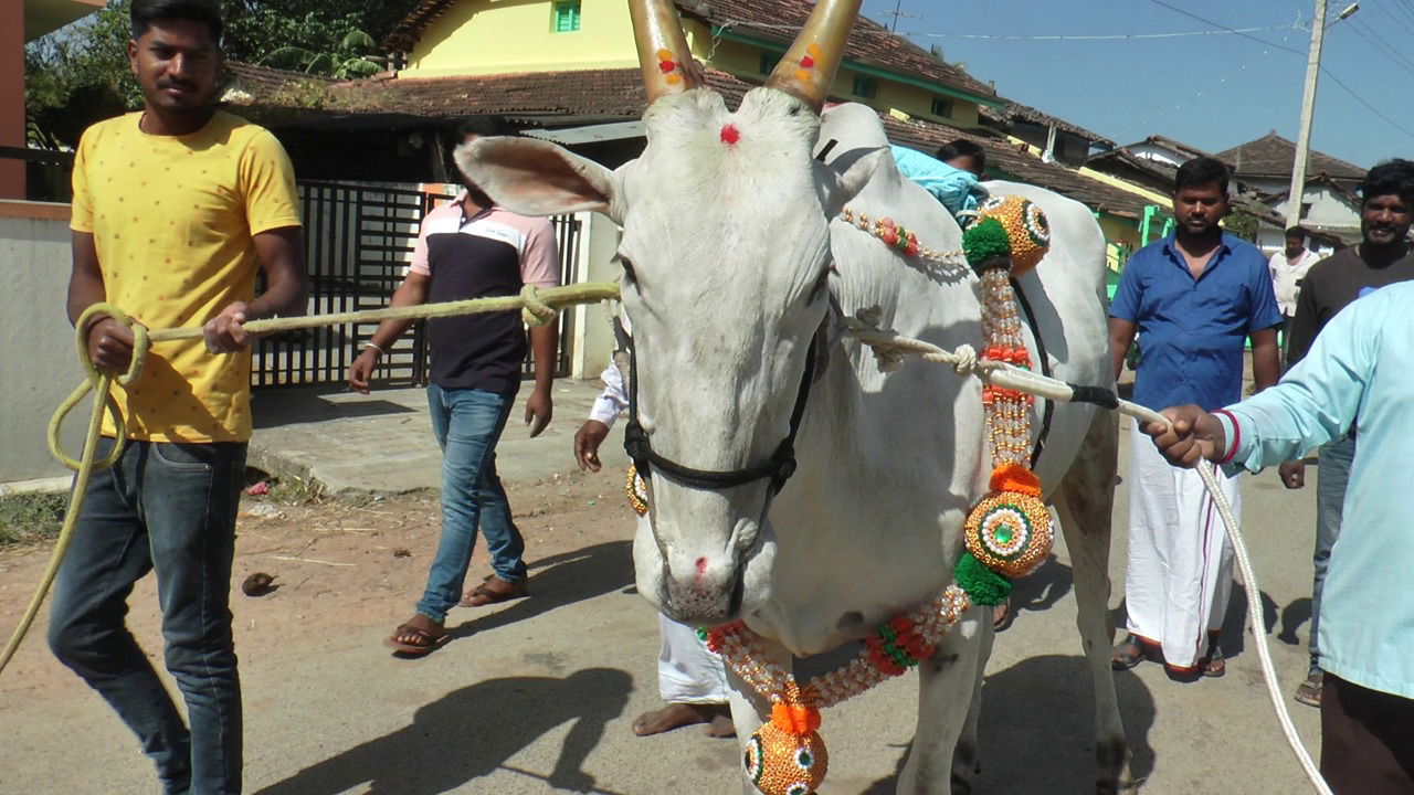 CKM OX 4