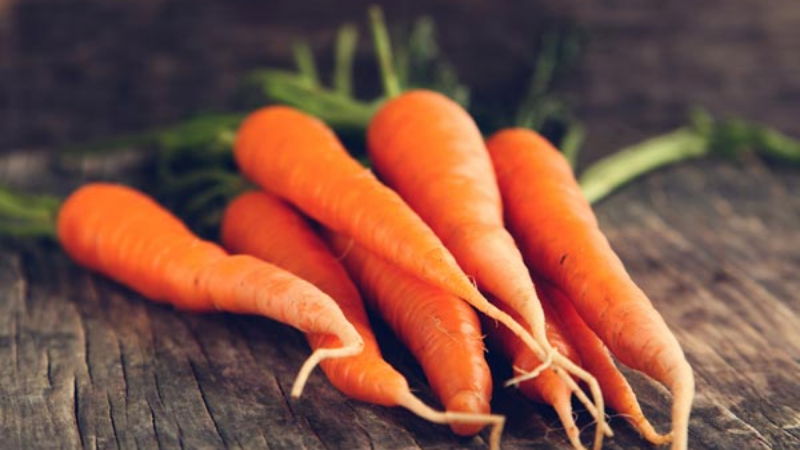 Carrot