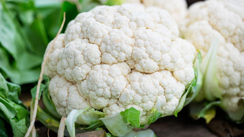 CauliFlower