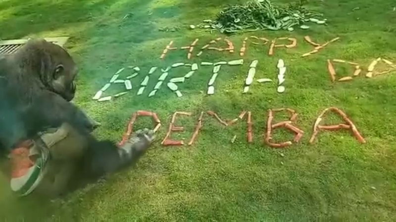 DEMBA