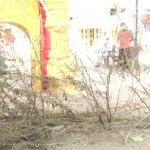 DVG JATHRE 4