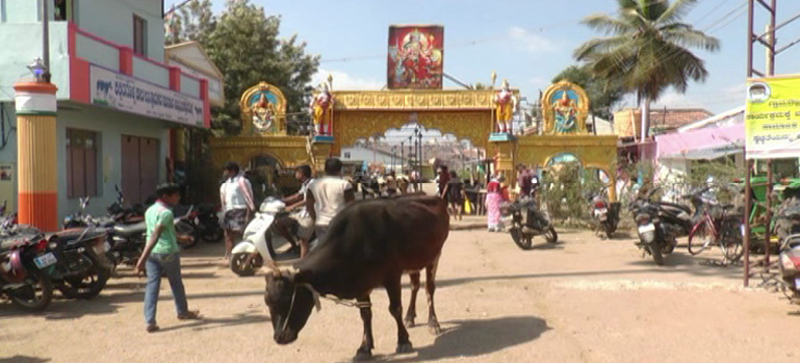 DVG JATHRE