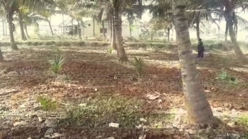Farmer woman Duda police station Hassan nut plant 3