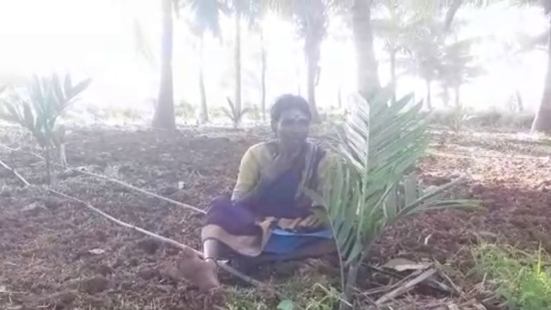 Farmer woman Duda police station Hassan nut plant
