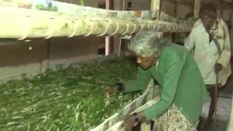 Kolar elderly couple land silk 2