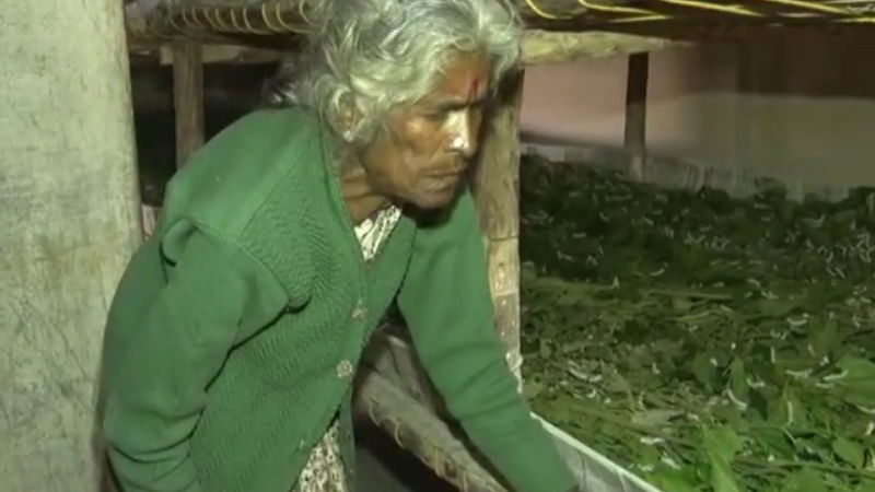 Kolar elderly couple land silk 4