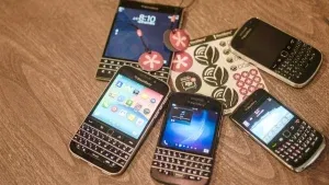 blackberry