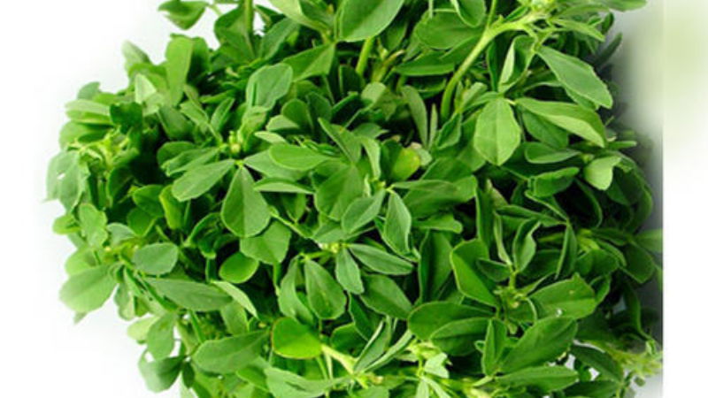 fenugreek leaves 1