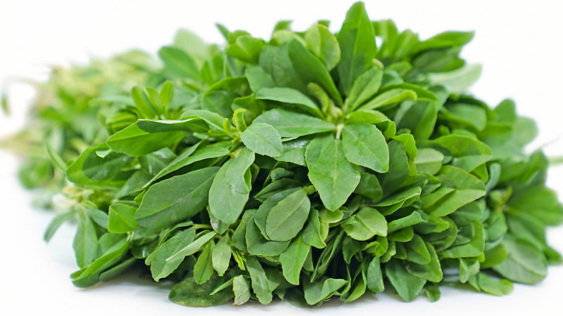 fenugreek leaves 4
