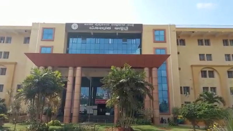 hassana 4