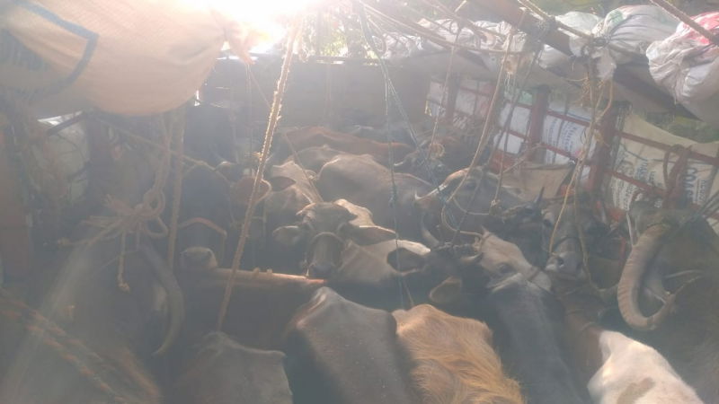madikeri 2